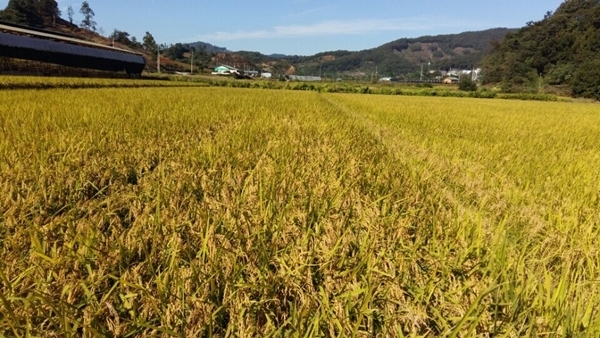 (사진출처=농림축산식품부 공식 블로그 갈무리)
