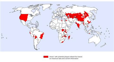 2016년 3월 기준 WHO가 분류한 전 세계 페스트 발생위험지역 분포도 (사진출처=질병관리본부)
