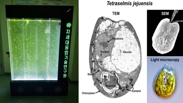 시스템 시작품과 신종 미세조류(Tetraselmis jejuensis)의 현미경 사진 (사진=차세대융합기술연구원 환경자원융합센터)