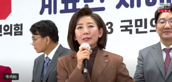 나경원 전 의원(사진=나경원 전의원 유튜브)